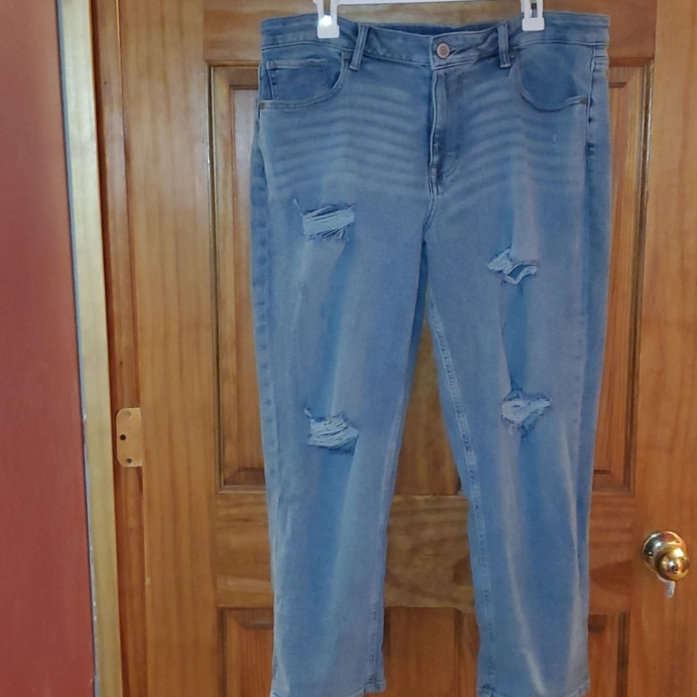 Maurices flex crops
